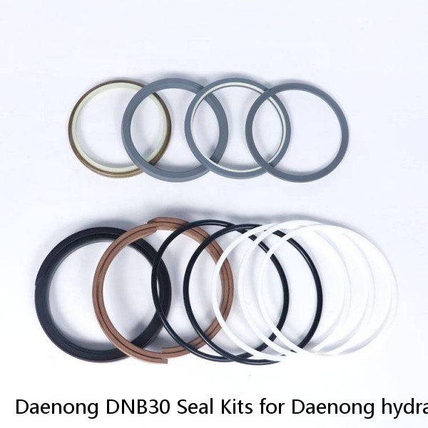 Daenong DNB30 Seal Kits for Daenong hydraulic breaker