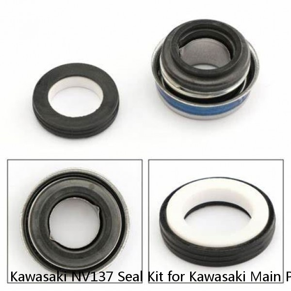 Kawasaki NV137 Seal Kit for Kawasaki Main Pump