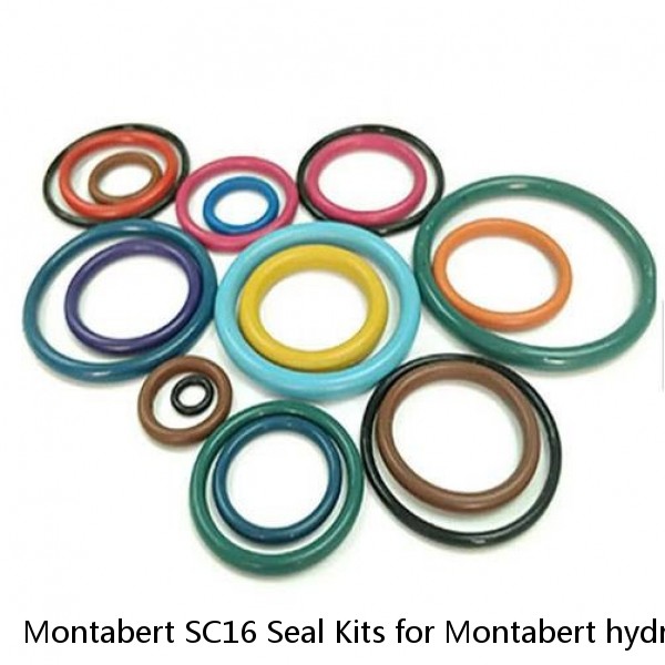 Montabert SC16 Seal Kits for Montabert hydraulic breaker
