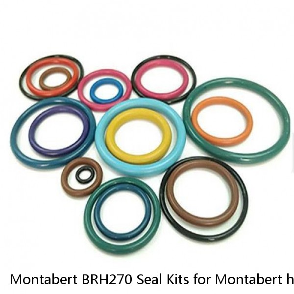 Montabert BRH270 Seal Kits for Montabert hydraulic breaker #1 small image