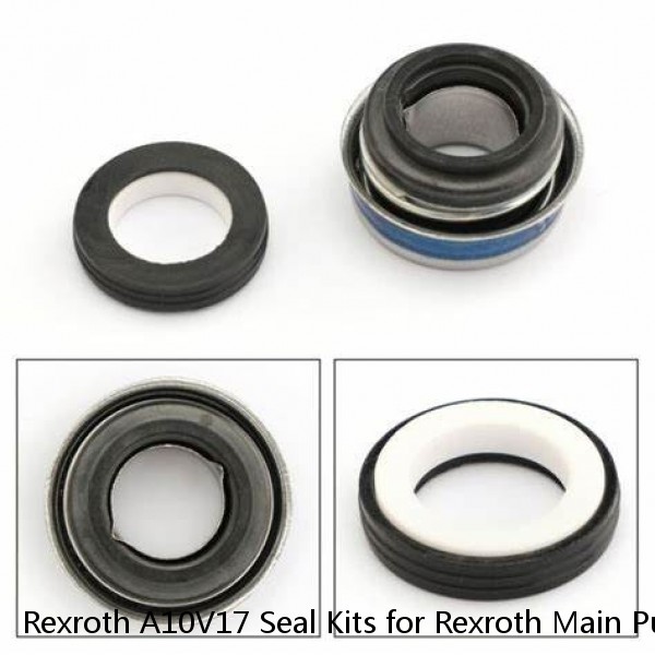 Rexroth A10V17 Seal Kits for Rexroth Main Pump #1 image