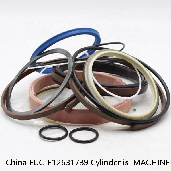 China EUC-E12631739 Cylinder is  MACHINE EH1600 EXCAVATOR STEERING BOOM ARM BUCKER SEAL KITS HYDRAULIC CYLINDER factory #1 image