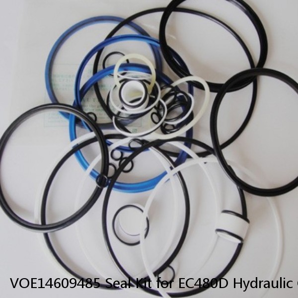 VOE14609485 Seal Kit for EC480D Hydraulic Cylindert #1 image