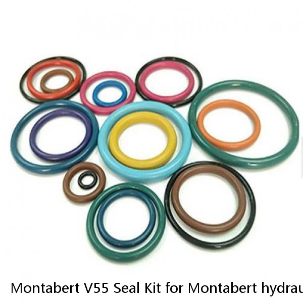 Montabert V55 Seal Kit for Montabert hydraulic breaker #1 image